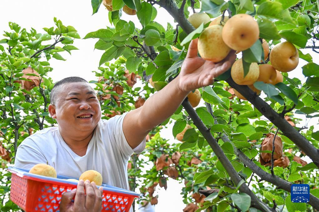 荣一娱乐平台注册